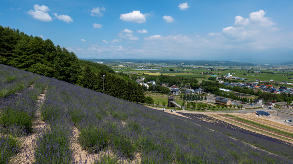北星山ラベンダー園から見渡す富良野盆地の田園風景