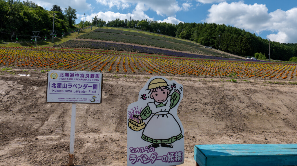 北星山ラベンダー園の看板と斜面に広がる花畑