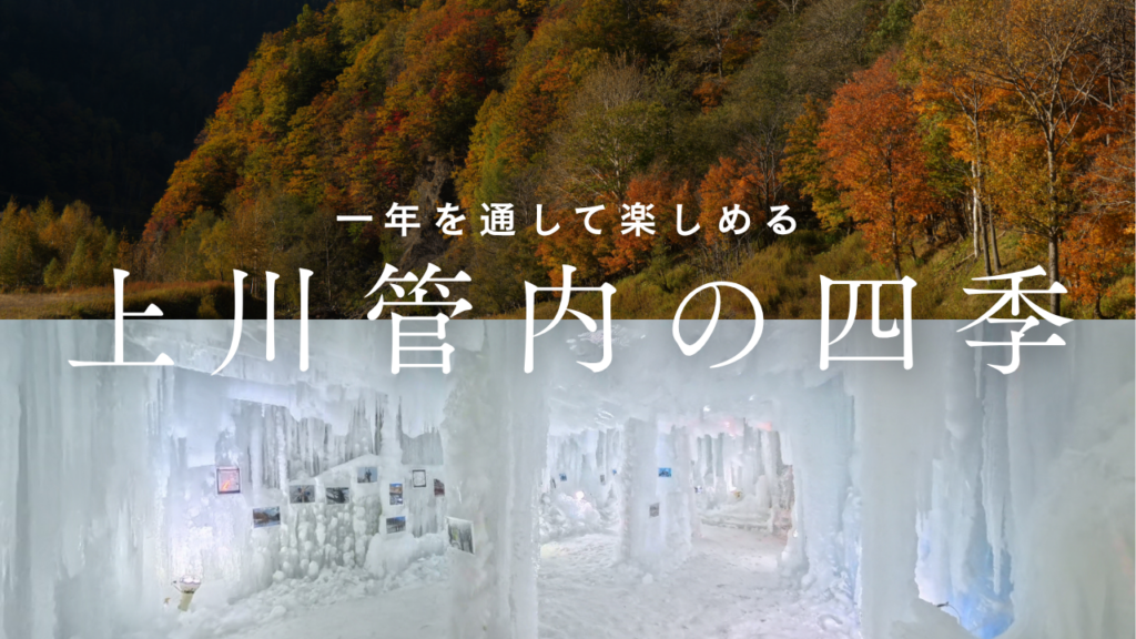 上川管内の紅葉と冬の氷雪景色で一年を通して楽しめる四季を紹介する画像