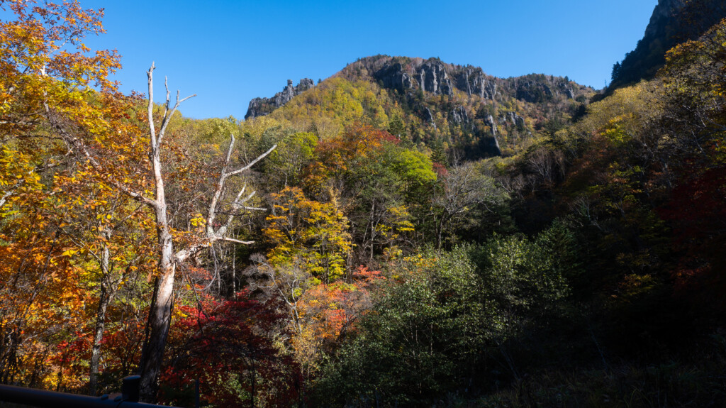 層雲峡の岩壁と色づき始めた紅葉