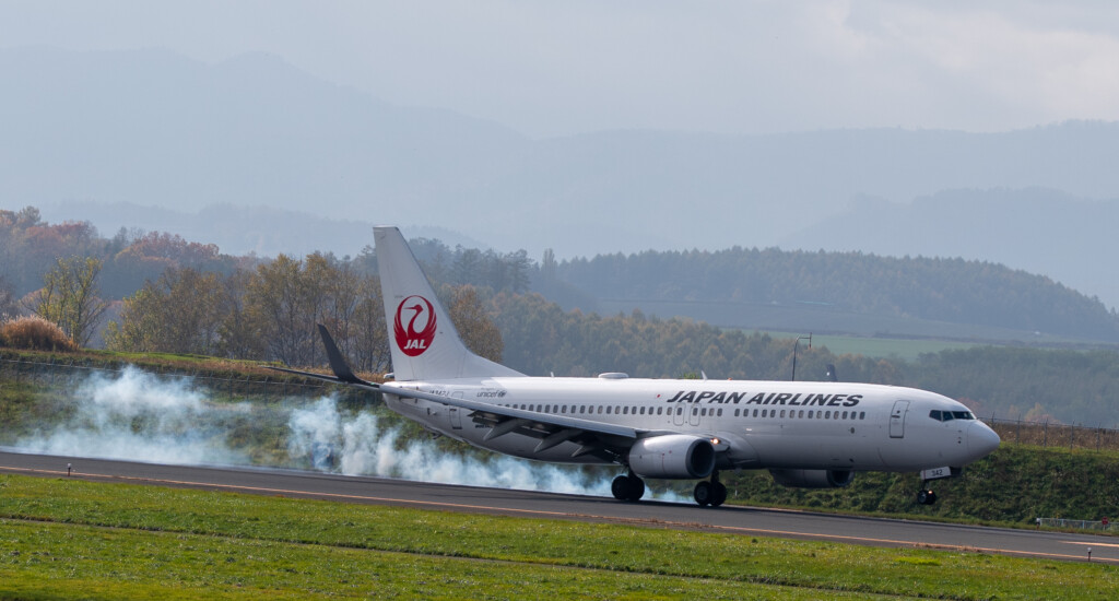大阪（伊丹）から旭川空港に着陸するJAL2111便